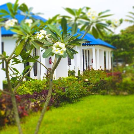 Kigwedeni Villas Nungwi Bagian luar foto